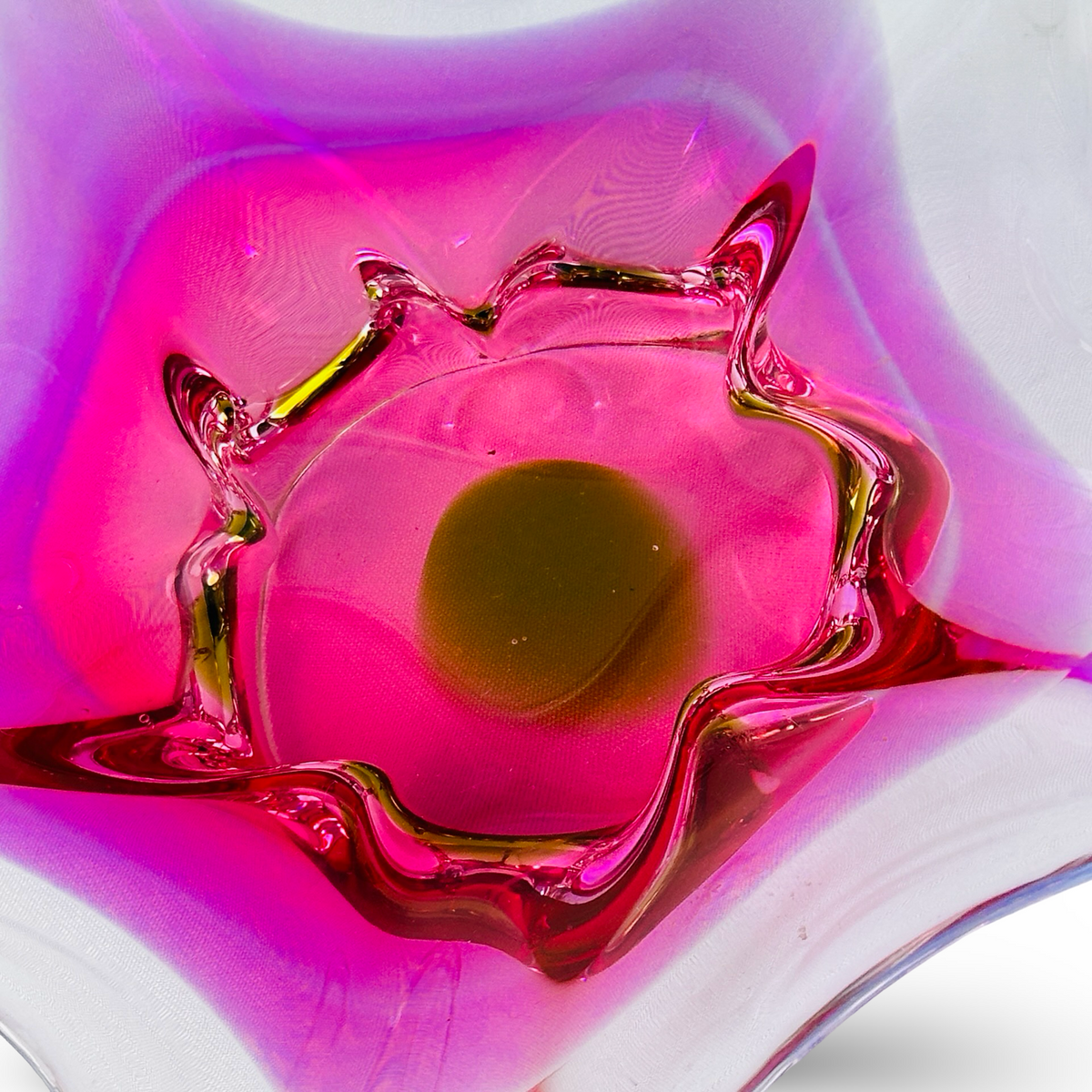 Detailaufnahme des gewellten rosa Kragens um den olivgrünen Farbpunkt im Zentrum der Schale
