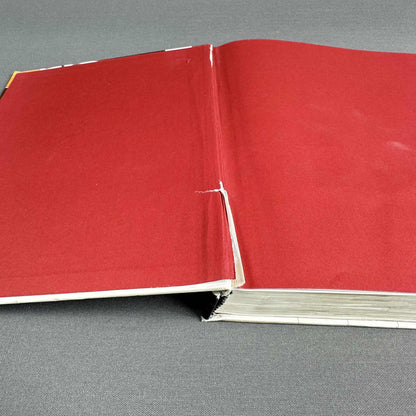 Nahaufnahme des roten Buchvorsatzes mit deutlich sichtbarer Beschädigung am Rücken und gelöstem Einband