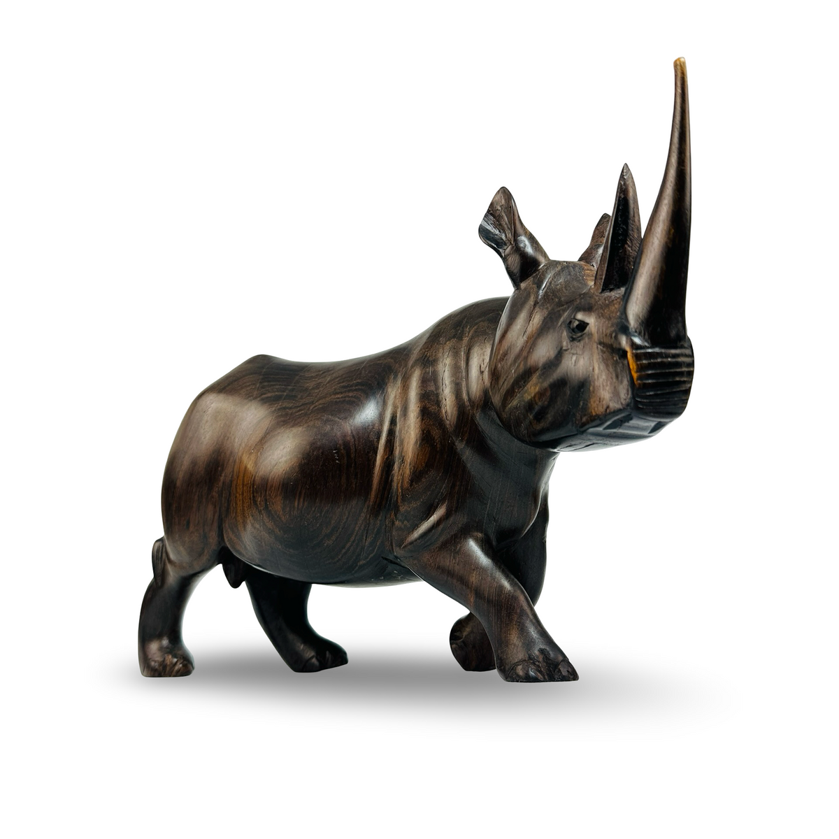 Ebenholz-Nashorn – Dreiviertelansicht von vorne rechts mit erhobenem Kopf und langem Horn