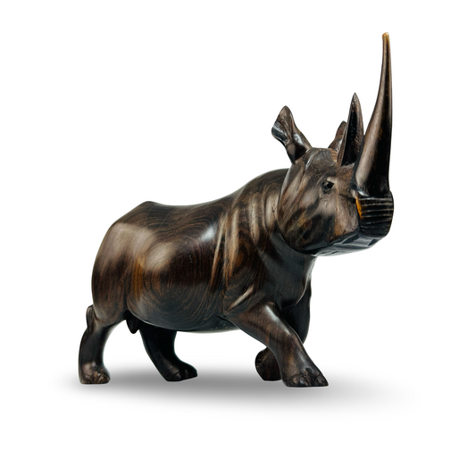 Ebenholz-Nashorn – Dreiviertelansicht von vorne rechts mit erhobenem Kopf und langem Horn