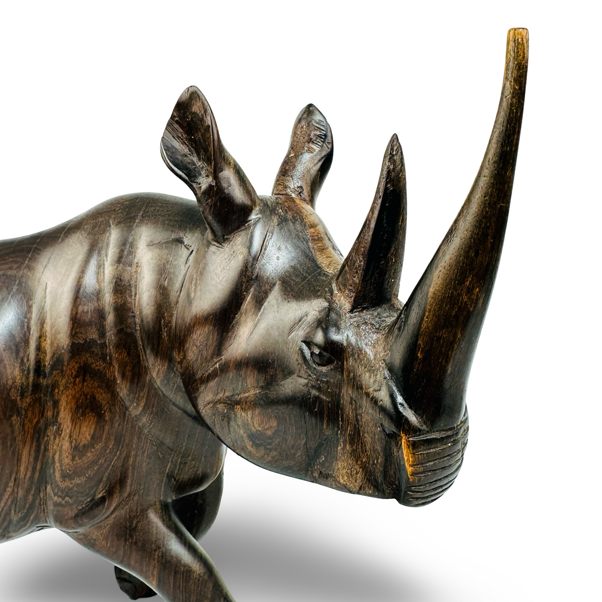 Nahaufnahme von Kopf und Horn mit gerillter Maulpartie und Holzmaserung